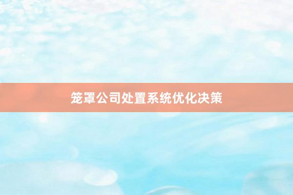 笼罩公司处置系统优化决策