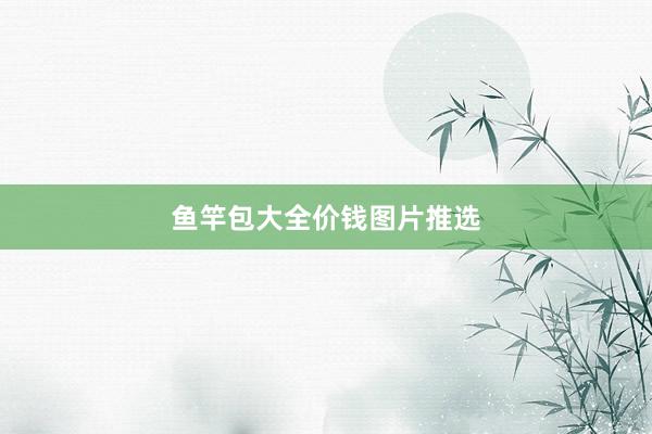 鱼竿包大全价钱图片推选